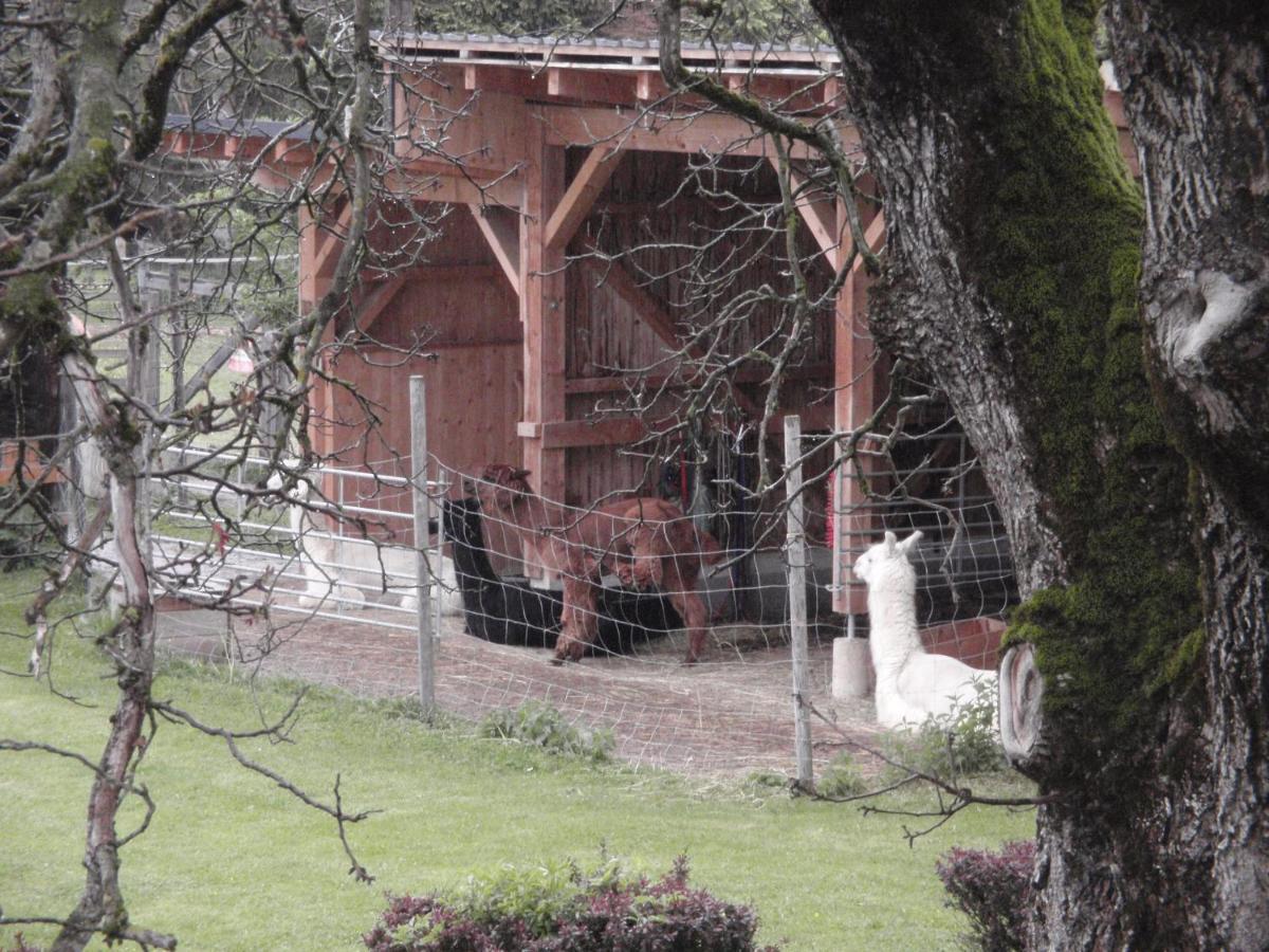 Pension Alpenhaus Vorderstoder Exterior foto