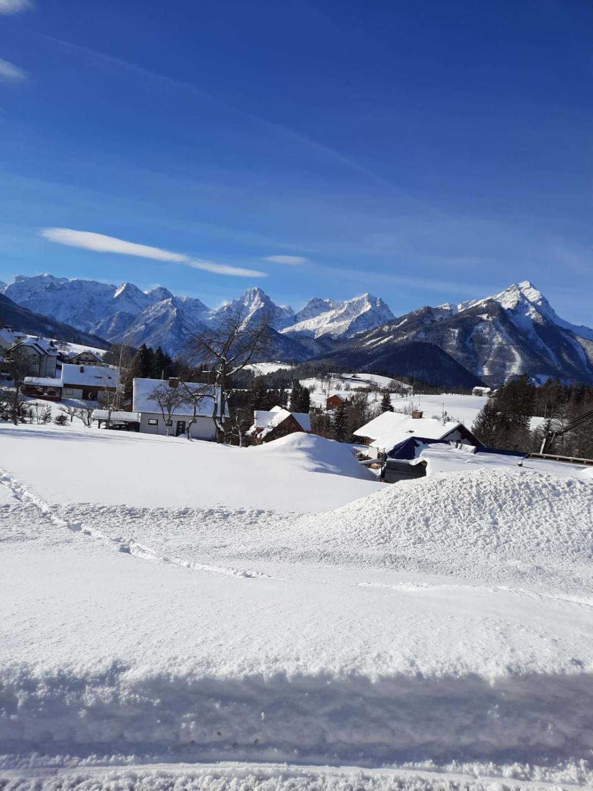 Pension Alpenhaus Vorderstoder Exterior foto